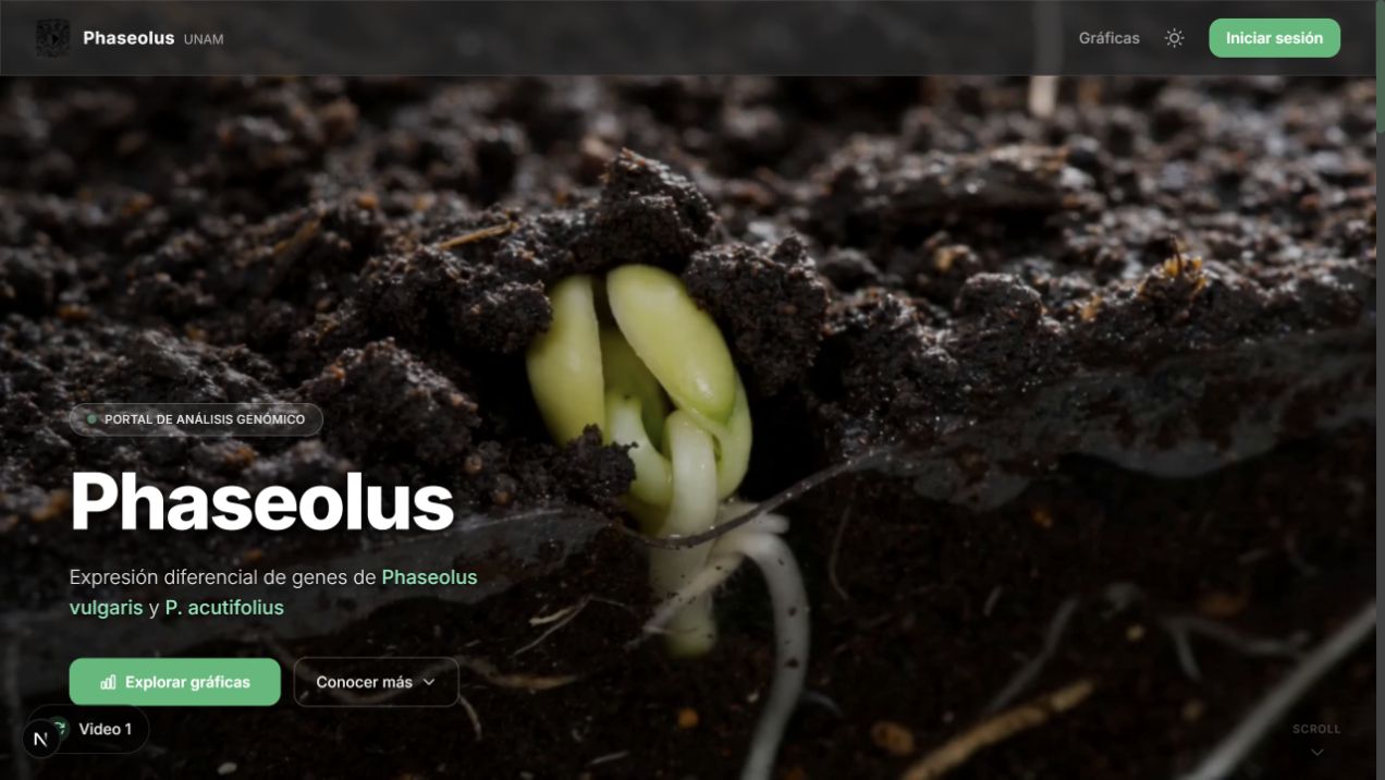 Captura de Phaseolus